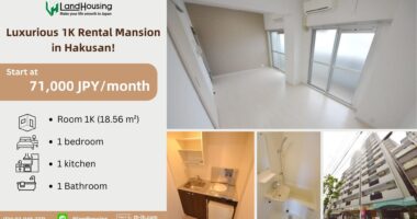 Luxurious 1K Rental Mansion in Hakusan!