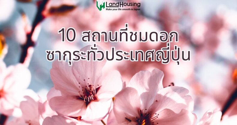 A Springtime Dream: Top 12 Sakura Spots In Japan