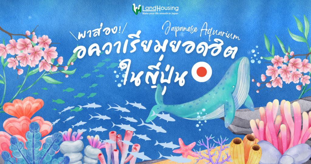 New 7 อควาเรียมห้ามพลาด สัมผัสโลกใต้ทะเลสุดอลังการในญี่ปุ่น