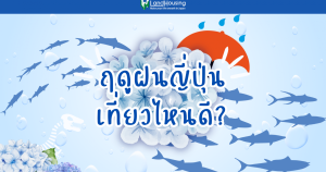 New! เที่ยวญี่ปุ่นหน้าฝน สัมผัสเสน่ห์แบบชุ่มฉ่ำ