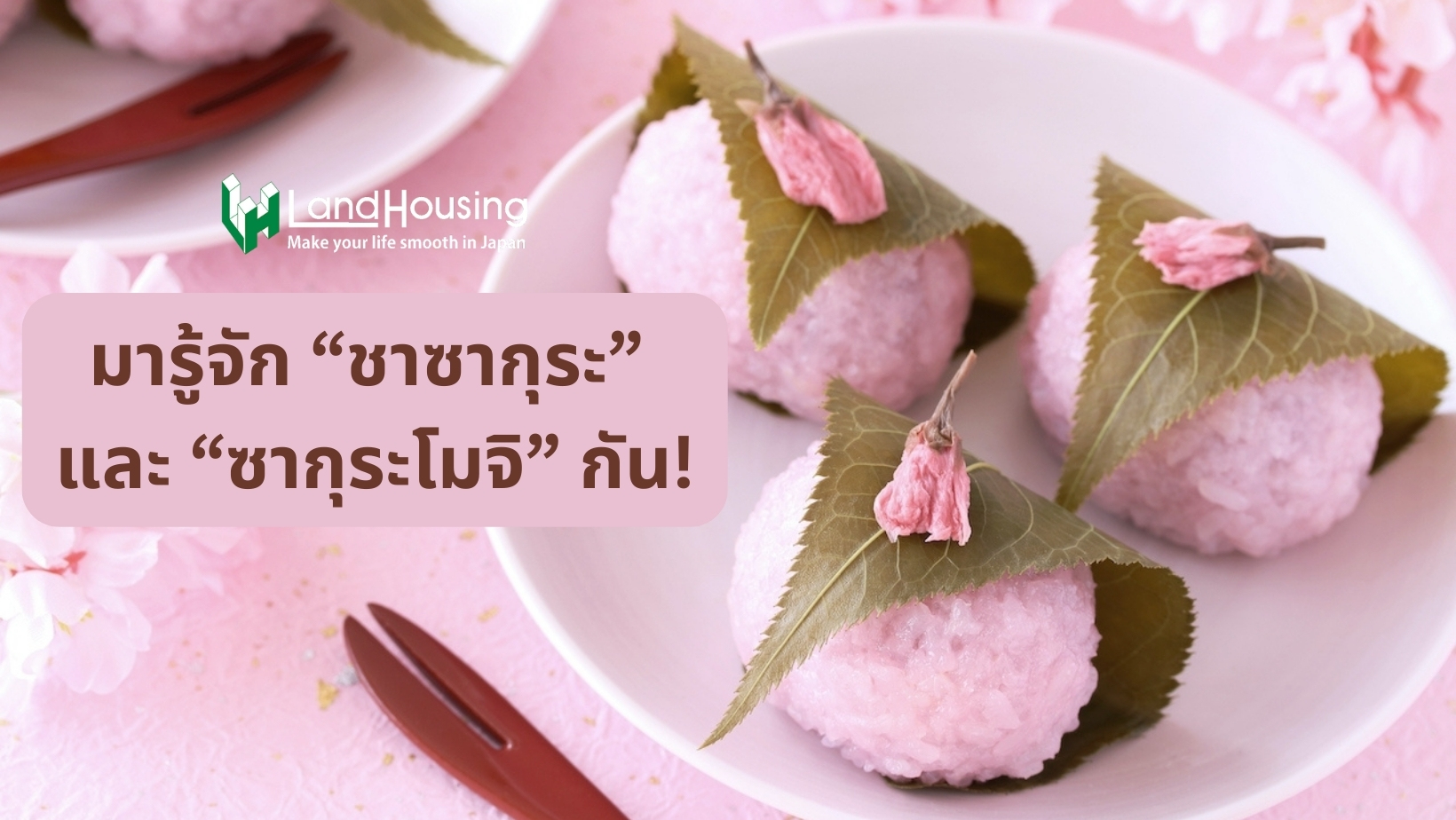 มารู้จัก “ชาซากุระ” และ “ซากุระโมจิ” ขนมหวานและเครื่องดื่มแห่งฤดูใบไม้ผลิ ประเทศญี่ปุ่นกัน!