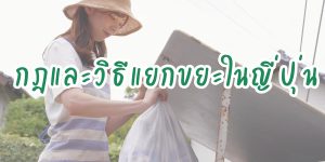 กฎและวิธีแยกขยะในญี่ปุ่น เรื่องที่คนมาอยู่ญี่ปุ่นต้องรู้