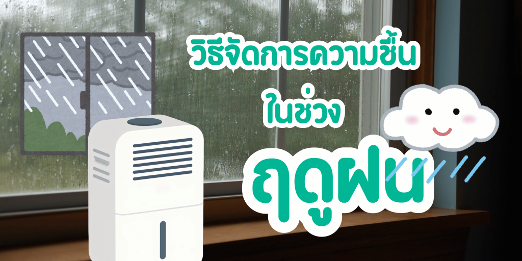 วิธีจัดการความชื้นในช่วงฤดูฝน พร้อมเคล็ดลับดูแลบ้านให้น่าอยู่