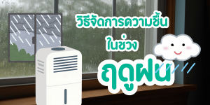 วิธีจัดการความชื้นในช่วงฤดูฝน พร้อมเคล็ดลับดูแลบ้านให้น่าอยู่